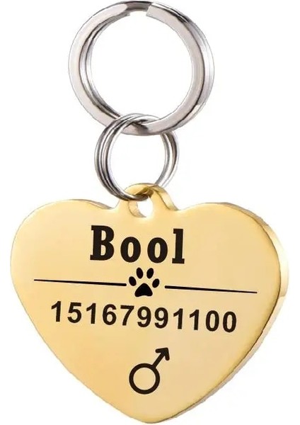 Kalp Altın Stili S Beden Kişiselleştirilmiş Pet Kımlık Etiketi Anahtarlık Kazınmış Pet Kımlık Adı Kedi Yavrusu Için Köpek Yaka Etiketi Kolye Anahtarlık Kemik Pet Aksesuarları (Yurt Dışından)