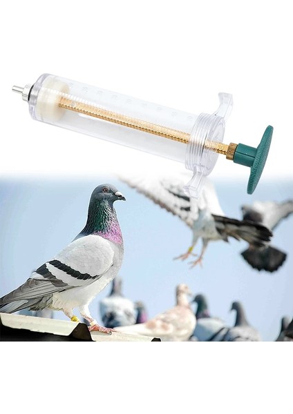 20ML Tip A Stili Kanatlı Civciv Için Kuş Papağan Su Besleme Şırıngası Küçük Pet Ilaç Besleyici Çoklu Özellikler ve 1 Hortum Aksesuarları (Yurt Dışından) fırsatları