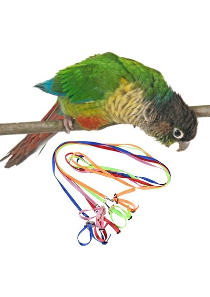 Kırmızı Stil Pet Papağan Kuş Koşum Tasma Uçan Halat Sapanlar Açık Eğitim Çekiş Halatı Muhabbet Kuşu Cennet Papağanı Papağan Kuşlar Malzemeleri (Yurt Dışından) fiyatları