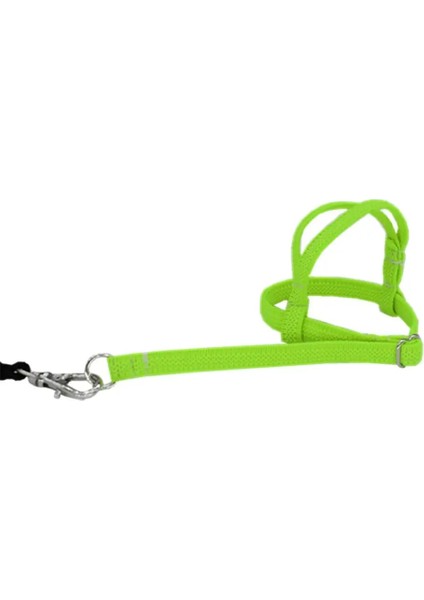 Yeşil Stil Sıcak Satış Anti-Bite Uçan Eğitim Halatı Papağan Kuş Pet Tasma Kitleri Ultralight Koşum Tasma Yumuşak Taşınabilir Pet Oyuncaklar (Yurt Dışından)