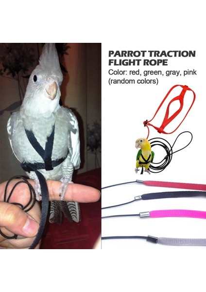 Rastgele Renkler Stili Xxs Pet Kuş Papağan Koşum ve Tasma Uçan Halat Sapanlar Açık Eğitim Çekiş Halatı Muhabbet Kuşu Cennet Papağanı Küçük Kuş (Yurt Dışından)