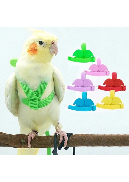 Mavi Lateks Elastik Stil 4-M Pet Kuş Koşum Ayarlanabilir Papağan Koşum Tasma Seti Anti-Bite Açık Eğitim Uçan Halat Muhabbet Kuşu Cennet Papağanı (Yurt Dışından) fiyatları