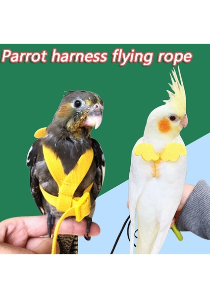 Pembe Tarzı No.3 Boyutu Papağan Uçan Koşum Tasma Takım Pet Kuş Açık Uçuş Eğitim Halat Papağan Malzemeleri Budgie Için Amerika Papağanı Aksesuarları Şeyler (Yurt Dışından) fiyatları