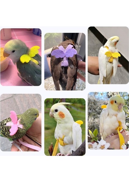 Pembe Tarzı No.3 Boyutu Papağan Uçan Koşum Tasma Takım Pet Kuş Açık Uçuş Eğitim Halat Papağan Malzemeleri Budgie Için Amerika Papağanı Aksesuarları Şeyler (Yurt Dışından) indirimleri