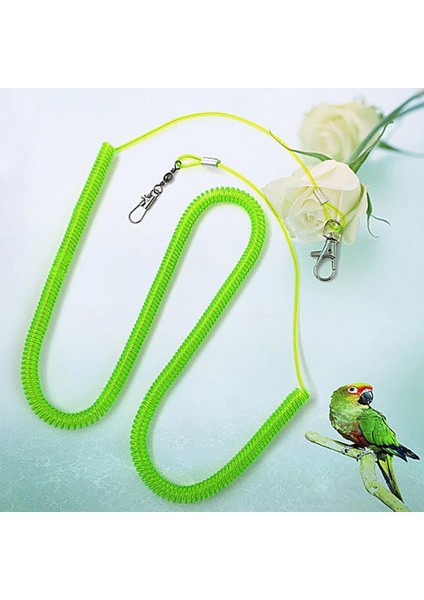 Rastgele Renk Stili 6 Milyon Uzatma Tipi Papağan Kuş Tasma Uçan Eğitim Halatı Sapanlar Papağan Papağanları Starling Budgie Eğitim Halatı Kuşlar Malzemeleri (Yurt Dışından) indirimleri