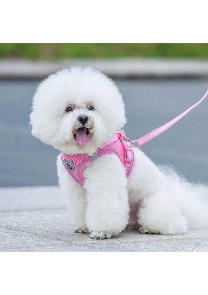 Gül Kırmızı Stili L Beden Küçük Köpek Yavrusu Koşum Fransız Bulldog Chihuahua Pug Naylon Örgü Kedi Koşum ve Tasma Nefes Yavru Kediler Koşum (Yurt Dışından) modelleri