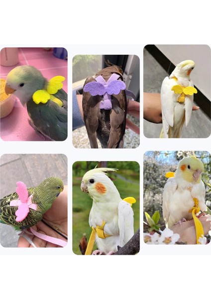 Pembe 4 Tarzı Papağan Kuş Koşum ve Tasma Seti Ayarlanabilir Açık Uçan Çekiş Eğitim Halatı Küçük Orta Kuşlar Için Kanatlı Amerika Papağanı Budgie (Yurt Dışından)