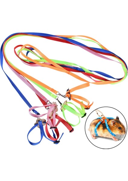 1 Adet Rastgele Renk Stili Pet Kuş Koşum ve Tasma Ayarlanabilir Papağan Kuş Koşum Tasma Pet Anti-Bite Eğitim Halatı Açık Uçan Eğitim Malzemeleri (Yurt Dışından)