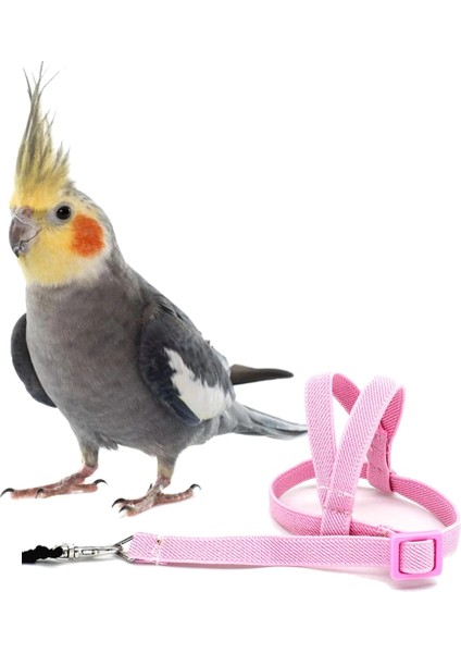 1 Adet Rastgele Renk Stili Pet Kuş Koşum ve Tasma Ayarlanabilir Papağan Kuş Koşum Tasma Pet Anti-Bite Eğitim Halatı Açık Uçan Eğitim Malzemeleri (Yurt Dışından) indirimleri