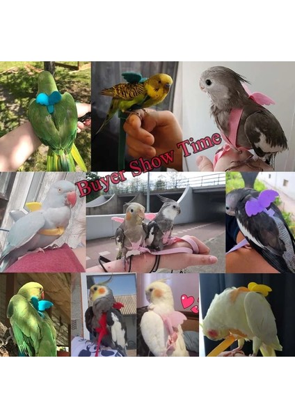 Yeşil Stil No.2 Boyutu Ayarlanabilir Pet Papağan Koşum Tasma Açık Uçan Eğitim Halatı Küçük Orta Amerika Papağanı Papağanı Papağanı Muhabbet Kuşu Kayışı Kuş Aksesuarları (Yurt Dışından)