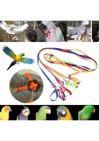Turuncu Tarzı Pet Papağan Kuş Koşum Tasma Uçan Halat Sapanlar Açık Eğitim Çekiş Halatı Muhabbet Kuşu Cennet Papağanı Papağan Kuşlar Malzemeleri (Yurt Dışından) modelleri