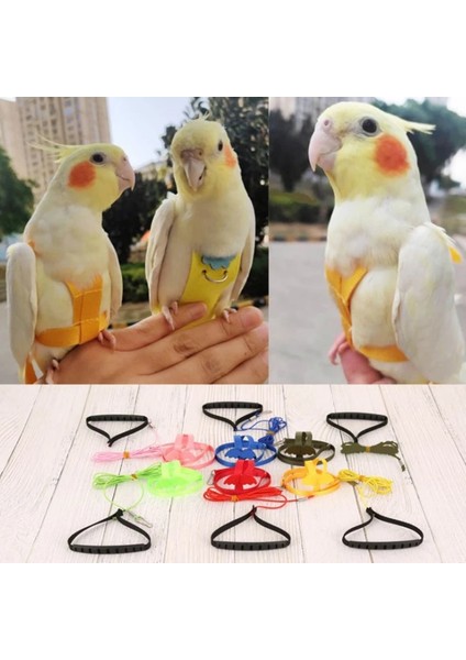 A6 Stili Papağan Koşum ve Tasma Seti Ayarlanabilir Dış Mekan Uçan Kanatlı Eğitim Ipi (Yurt Dışından) fiyatları