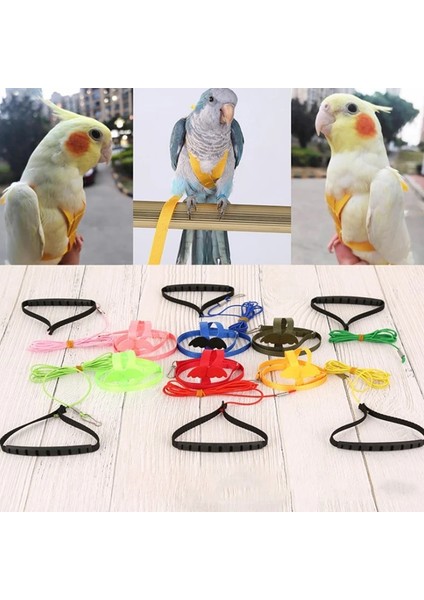 A6 Stili Papağan Koşum ve Tasma Seti Ayarlanabilir Dış Mekan Uçan Kanatlı Eğitim Ipi (Yurt Dışından) fırsatları