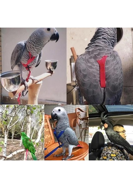 Pembe Tarzı Pet Kuş Koşum ve Tasma Ayarlanabilir Papağan Kuş Koşum Tasma Pet Anti Bite Eğitim Halatı Yumuşak Taşınabilir Pet Oyuncaklar (Yurt Dışından) fırsatları