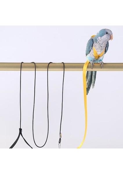 Mavi Stil Pet Papağan Kuş Çekiş Halatı Açık Eğitim Pet Kuş Uçan Halat Çekiş Halatı Pet Malzemeleri (Yurt Dışından) modelleri