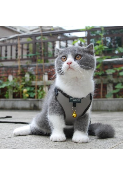 1pembe Stil M Beden Kedi Dantel Puantiyeli Baskı Pamuk Koşum Yelek Pet Çan ile Ayarlanabilir Köpek Yavrusu Için Yürüyüş Tasması Küçük Orta Köpek Için Örgü Koşum (Yurt Dışından) fırsatları