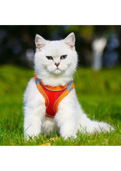 Turuncu Tarzı Xxs Anti-Kaçış Kedi Koşum ve Tasma Seti Kedi ve Köpek Yelek Koşum Yansıtıcı Şeritler ile Pet Yaz Ayarlanabilir Yumuşak Nefes Alabilir Örgü (Yurt Dışından)