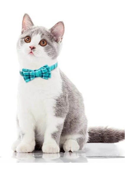 E Stili Boyun Çevresi 19-32CM Kadife Hızlı Bırakma Ekose Kedi Tasması Güvenlik Gato Ilmek Ayarlanabilir Çizgili Ilmek Pamuk Kolye Bulldog Chihuahua (Yurt Dışından) fırsatları