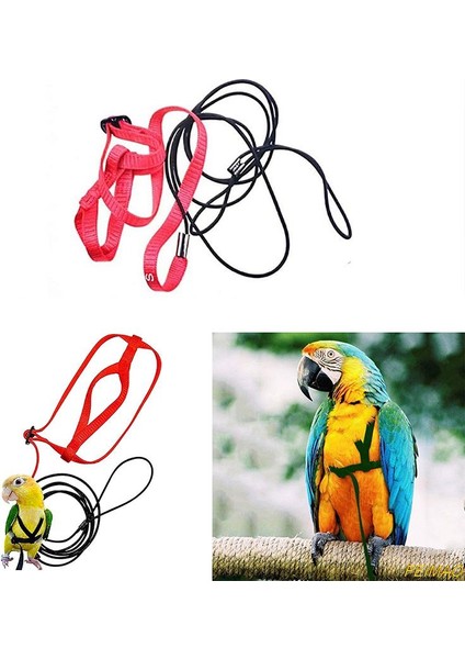 Xs Stili Et Papağan Kuş Koşum Tasma Açık Uçan Çekiş Kayışları Anti Uçan Bant Taşınabilir Ayarlanabilir Isırma Önleyici Eğitim Halatı (Yurt Dışından)