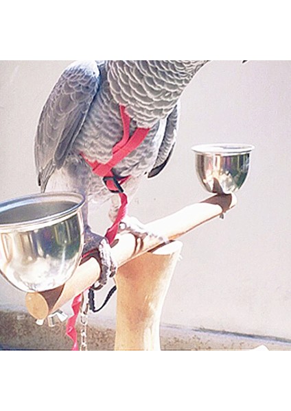 Yeşil Stil Pet Kuş Koşum ve Tasma Ayarlanabilir Papağan Kuş Koşum Tasma Pet Anti Bite Eğitim Halatı Yumuşak Taşınabilir Pet Oyuncaklar Açık (Yurt Dışından) modelleri