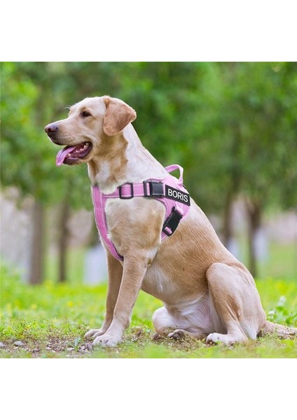 Mor Tarzı M Beden Fml Pet Koşum Çekme Yok Kişiselleştirilmiş Çıkartmalar Özel Kimlik Etiketleri Yaka Için Yansıtıcı Nefes Alabilir Kedi Yelek Küçük Köpek Için Saplı (Yurt Dışından) modelleri
