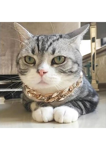 Gül Altın Tarzı 45CM 36CMCM Ayarlanabilir Köpek Kedi Punk Zincir Yaka Kurşun Geniş Kolye Evcil Hayvan Ürünleri Için Pet Aksesuarı Köpek Aksesuarları Ekipman Araçları (Yurt Dışından) fırsatları