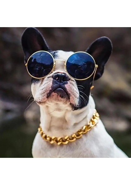 Gül Altın Tarzı 45CM 36CMCM Ayarlanabilir Köpek Kedi Punk Zincir Yaka Kurşun Geniş Kolye Evcil Hayvan Ürünleri Için Pet Aksesuarı Köpek Aksesuarları Ekipman Araçları (Yurt Dışından) indirimleri