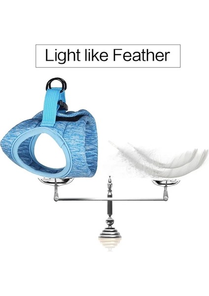 Yeşil Stil M Beden Kaçış Korumalı Kedi Yelek Koşum ve Tasma Seti Yumuşak Hafif Nefes Alabilir Ayarlanabilir Yürüyüş Koşumları Küçük Orta Köpek Kediler Için Talepler (Yurt Dışından) modelleri