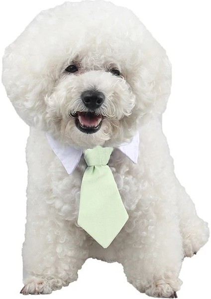 Kırmızı Yıldız Tarzı 31CM Yeni Pet Kravatlarstripe Küçük Pamuk Pet Köpek Yavrusu Kravat Ayarlanabilir Papyon Tımar Moda Köpek Kedi Çizgili Papyon (Yurt Dışından) indirimleri
