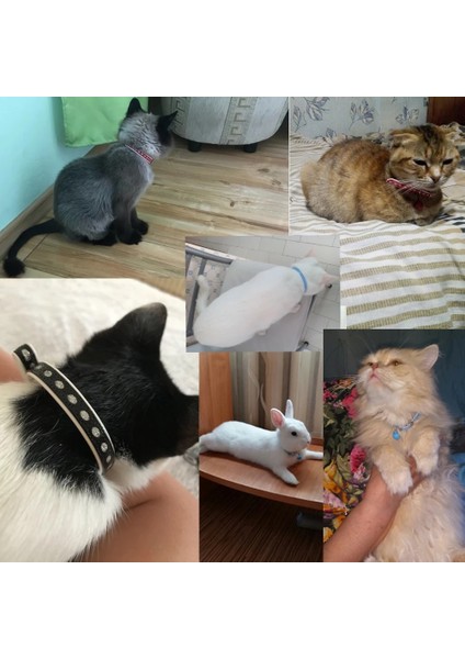 Mavi 2-JW0007 Stili Resim Olarak Isim Çanlı Kedi Tasması Küçük Köpek ve Yavru Kediler Için Evcil Hayvan Ürünü Kedi Tasmaları ve Kurşun Köpek Tasmaları J (Yurt Dışından)