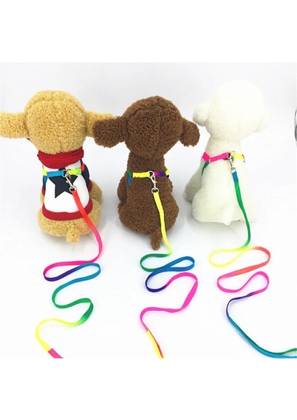 Ayarlanabilir Kedi Pet Yaka Koşum Tasma Seti Kediler Köpek Küçük Evcil Hayvanlar Breakaway Gökkuşağı Naylon Tavşan Köpekler Tasma Katten Halsband (Yurt Dışından) fiyatları
