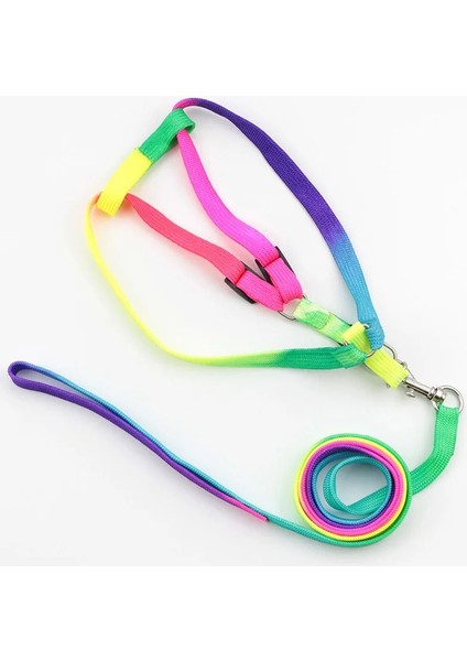 Ayarlanabilir Kedi Pet Yaka Koşum Tasma Seti Kediler Köpek Küçük Evcil Hayvanlar Breakaway Gökkuşağı Naylon Tavşan Köpekler Tasma Katten Halsband (Yurt Dışından) modelleri