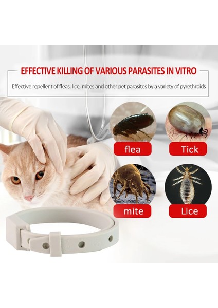 Kedi 38CM Stilini Kullanır Köpekler Kediler Yaka Sivrisinek Karşıtı Pire Kovucu Silikon Ayarlanabilir Pet Yaka Dekorasyon Dayanıklı Tasmalar Evcil Hayvan Ürünleri (Yurt Dışından) fiyatları