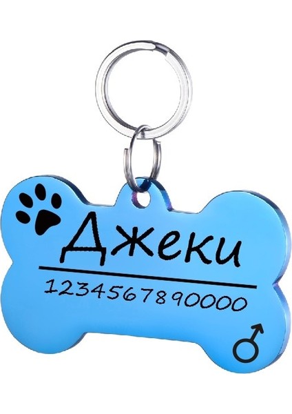 Bonetl Mavi Tarzı M Beden Kişiselleştirilmiş Pet Kımlık Etiketi Anahtarlık Kazınmış Pet Kımlık Adı Kedi Yavrusu Için Köpek Yaka Etiketi Kolye Anahtarlık Kemik Pet Aksesuarları (Yurt Dışından)