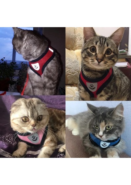 Yeşil Stil M Beden Nefes Alabilir Örgü Küçük Köpek Pet Koşum ve Tasma Seti Yavru Kedi Yelek Koşum Yaka Chihuahua Pug Bulldog Kedi Arnes Perro (Yurt Dışından) modelleri