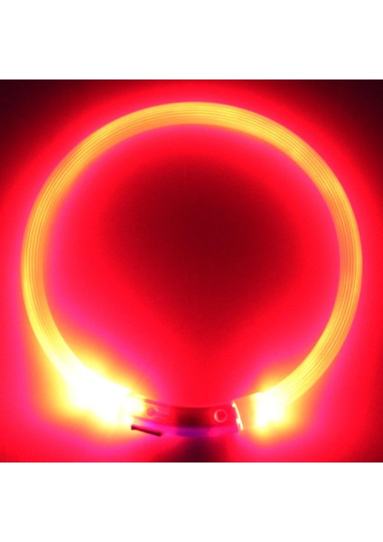 Kırmızı M Stili USB Şarj Pet Köpek Tasması Şarj Edilebilir LED Gece Yanıp Sönen Işıklı USB Şarj Pet Köpek Yavrusu Plastik Boyunluk Ev Bahçe (Yurt Dışından) fiyatları