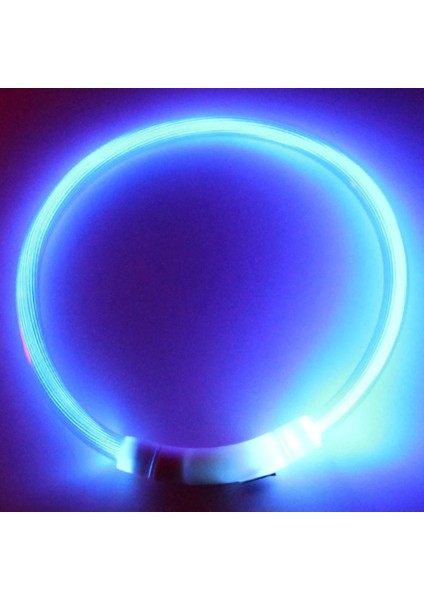 Kırmızı M Stili USB Şarj Pet Köpek Tasması Şarj Edilebilir LED Gece Yanıp Sönen Işıklı USB Şarj Pet Köpek Yavrusu Plastik Boyunluk Ev Bahçe (Yurt Dışından) indirimleri