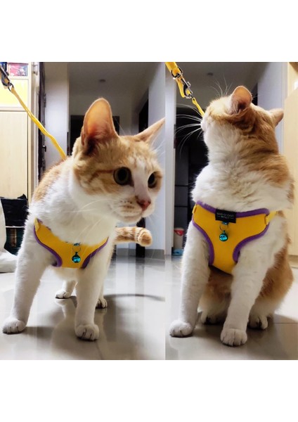 3sarı Stil L Beden Kedi Dantel Puantiyeli Baskı Pamuk Koşum Yelek Pet Çan ile Ayarlanabilir Köpek Yavrusu Için Yürüyüş Tasması Küçük Orta Köpek Için Örgü Koşum (Yurt Dışından) modelleri