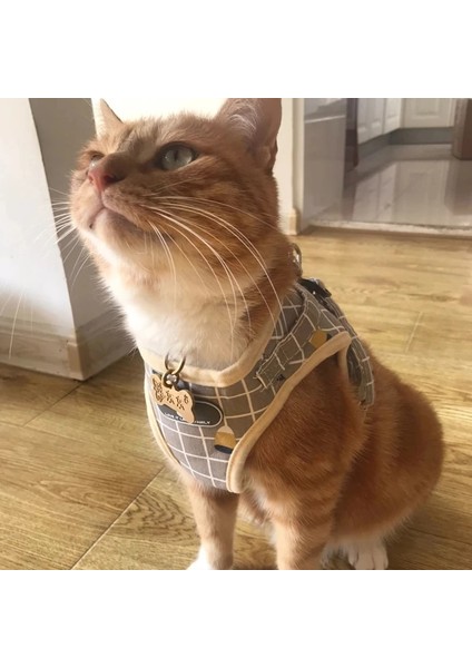 Gri Ekose Stili L-Takım 4.5-7.0kg Kediler Için Yansıtıcı Pet Kedi Koşum ve Tasma Seti Evcil Hayvanlar Için Ürünler Mesh Kedi Koşum Gotas Accesorios Kedi Koşum (Yurt Dışından) fırsatları