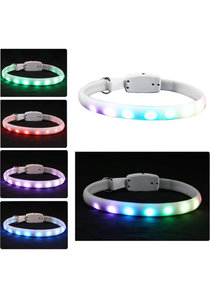 Beyaz Stil USB Şarj Edilebilir Pet Köpek LED Parlayan Yaka Pet Aydınlık Yanıp Sönen Kolye Açık Yürüyüş Köpek Gece Güvenlik Yaka Pet Malzemeleri (Yurt Dışından) fiyatları