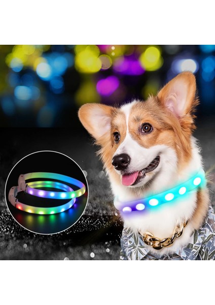 Beyaz Stil USB Şarj Edilebilir Pet Köpek LED Parlayan Yaka Pet Aydınlık Yanıp Sönen Kolye Açık Yürüyüş Köpek Gece Güvenlik Yaka Pet Malzemeleri (Yurt Dışından) indirimleri