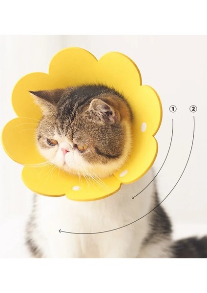 Sarı Stil S Beden Ayçiçeği Şekilli Kedi Kurtarma Yaka Elizabethan Yaka Kitten Puppy x Için Yara Iyileştirici Koruyucu Koni (Yurt Dışından) modelleri