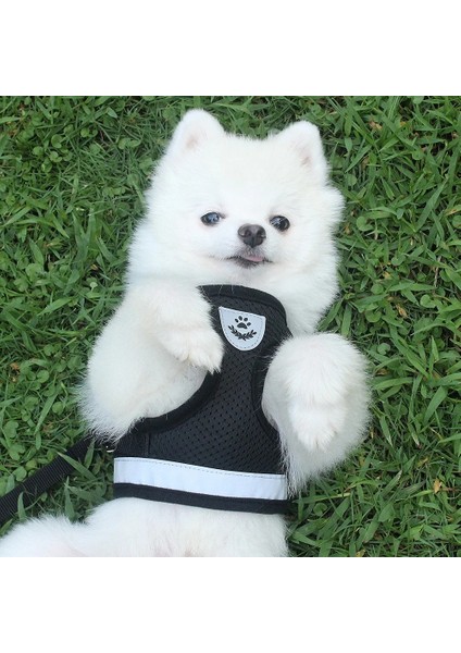 Mavi Stil L Beden Nefes Alabilir Kedi Koşum ve Tasma Kaçış Kanıtı Evcil Hayvan Giysileri Yavru Yavru Köpekler Yelek Ayarlanabilir Kolay Kontrol Yansıtıcı Kedi Koşum (Yurt Dışından) fırsatları