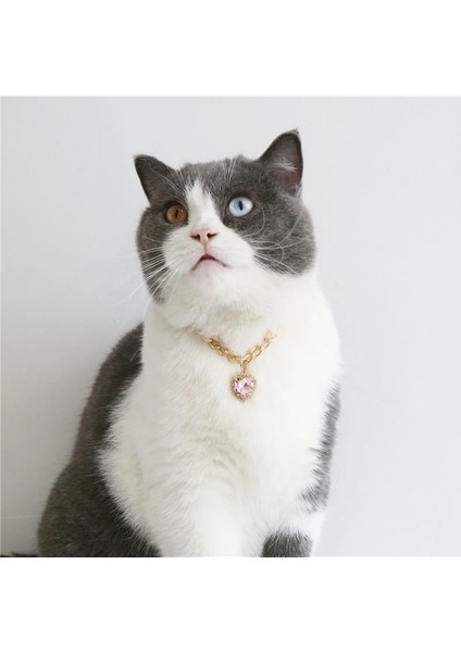 Kırmızı Stil Uzunluk 30-40CM Kalp Şekli Rhinestone Kolye Pet Yaka Tatil Parti Evcil Hayvanlar Için Yaka Altın Renk Zincir Kediler Köpek Malzemeleri Aksesuarları (Yurt Dışından) fiyatları