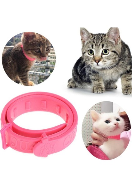 Pembe Tarzı Kedi Anti Pire Akar Kene Yaka Pire Yok Yavru Boyun Askısı Evcil Hayvan Yaka Evcil Hayvan Boyun Halkası Ayarlanabilir Kedi Baskı Yaka Kediler Boyun Askısı (Yurt Dışından)
