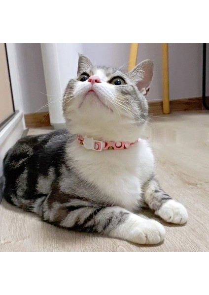 Mavi Stil Meyve Baskı Çanlı Kedi Tasmaları Kullanışlı Kedi Yaka Ayrılıkçı Pet Köpek Kolye Boyun Askısı Kediler Aksesuarları (Yurt Dışından) indirimleri