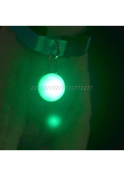 Yeşil Stil Tek Boyut Pet Kolye Güvenlik LED Flaş Işığı Kızdırma Yaka Yavru Köpekler Kedi Aydınlık Işık Kolye Tanımlamak O26 Dropship (Yurt Dışından) fırsatları