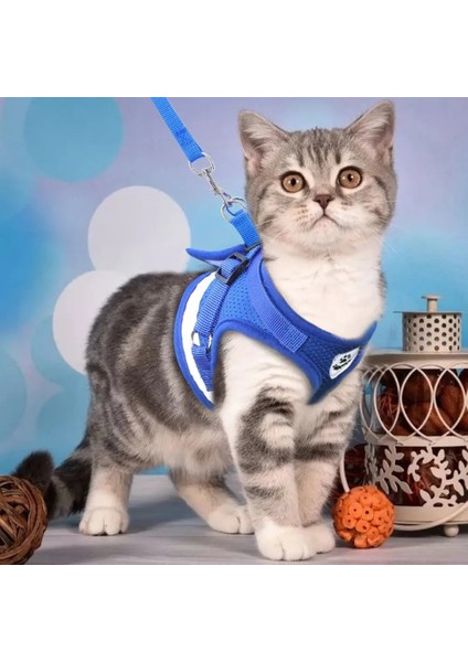 Siyah Stil Xl 6.5-8kg Kedi Köpek Ayarlanabilir Koşum Yelek Yavru Köpekler Için Yürüyüş Kurşun Tasma Küçük Orta Köpek Için Polyester Örgü Koşum Kedi Kedi Pet (Yurt Dışından) indirimleri