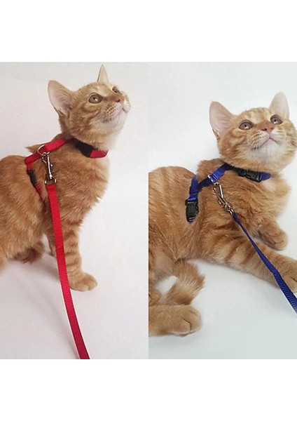 Kırmızı Stil Ayarlanabilir Köpek Kedi Yaka Koşum Tasma Naylon Yansıtıcı Kedi Koşum ve Tasma Pet Yavru Kedi Yaka Kurşun Tasma Çekiş Tasması Gato (Yurt Dışından) indirimleri