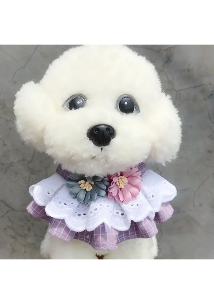 Mor Tarzı M Beden Pet Yaka Prenses Kedi Köpek Kolye Köpek Yaka Köpek Styling Güzel Köpek Kedi Kolye Dekor Küçük Köpek Için Tasmalar (Yurt Dışından)